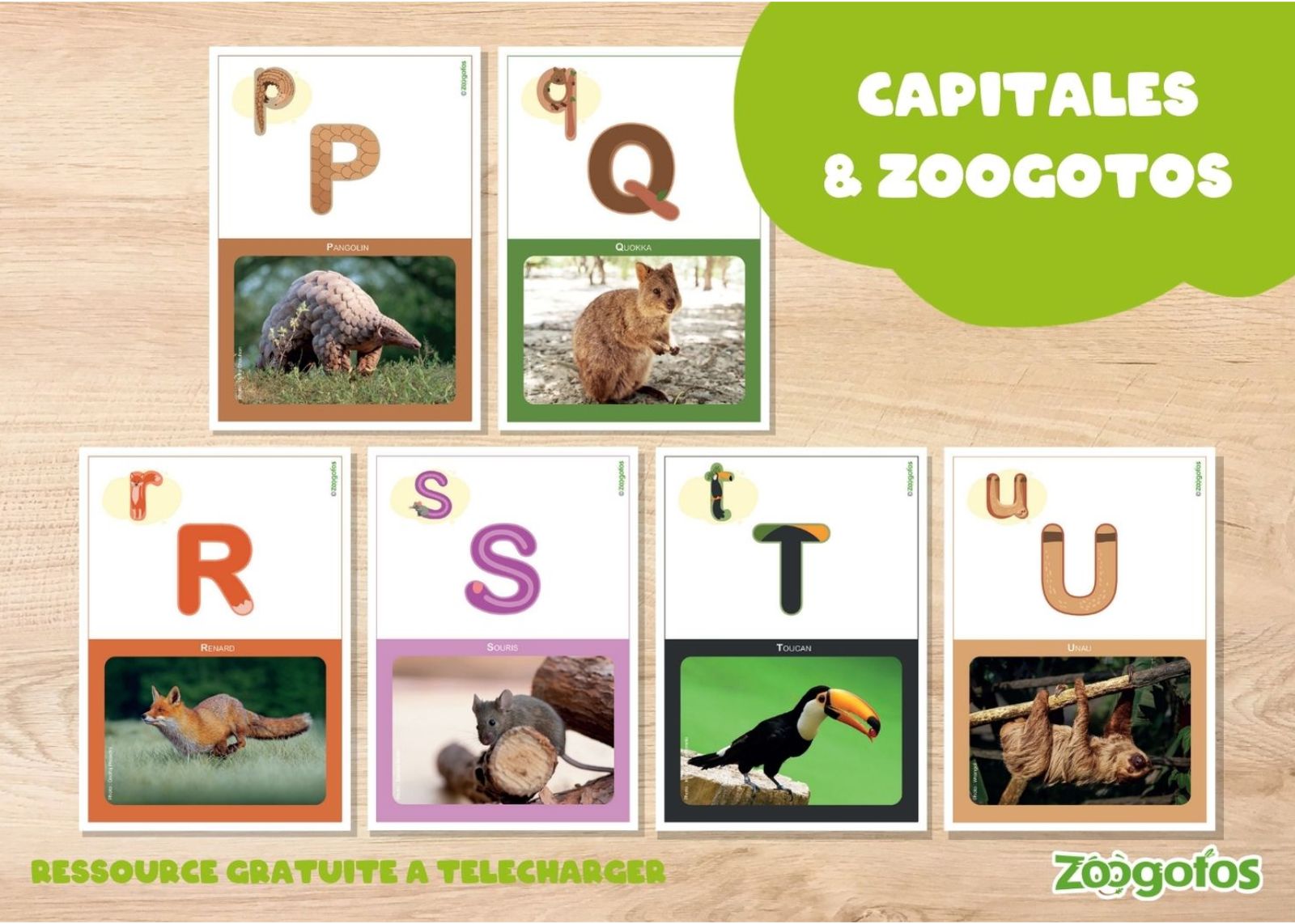 Fiches capitales et Zoogotos