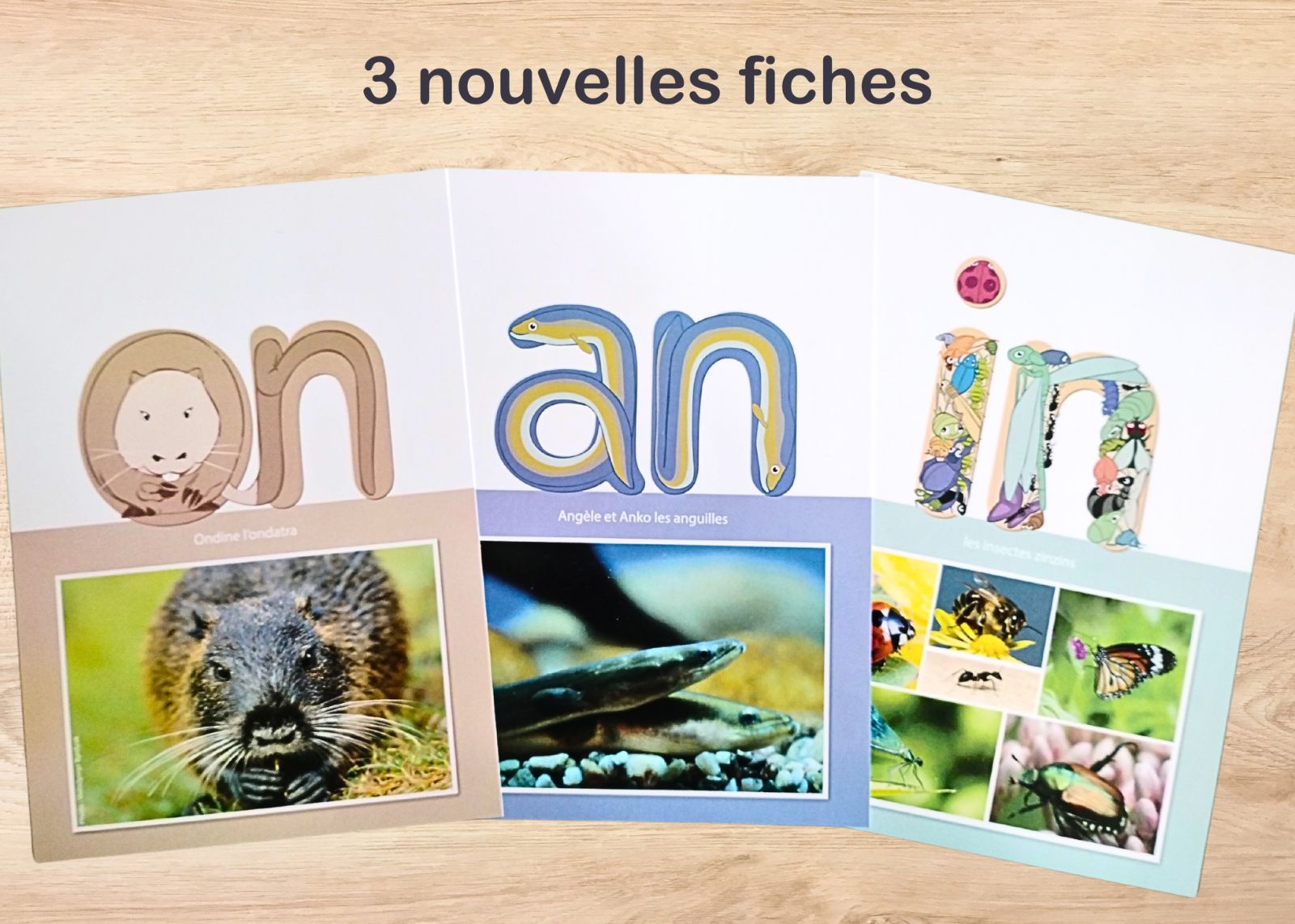 les zoogotos pour les sons an (anguilles), in (insectes) et on (ondatra)