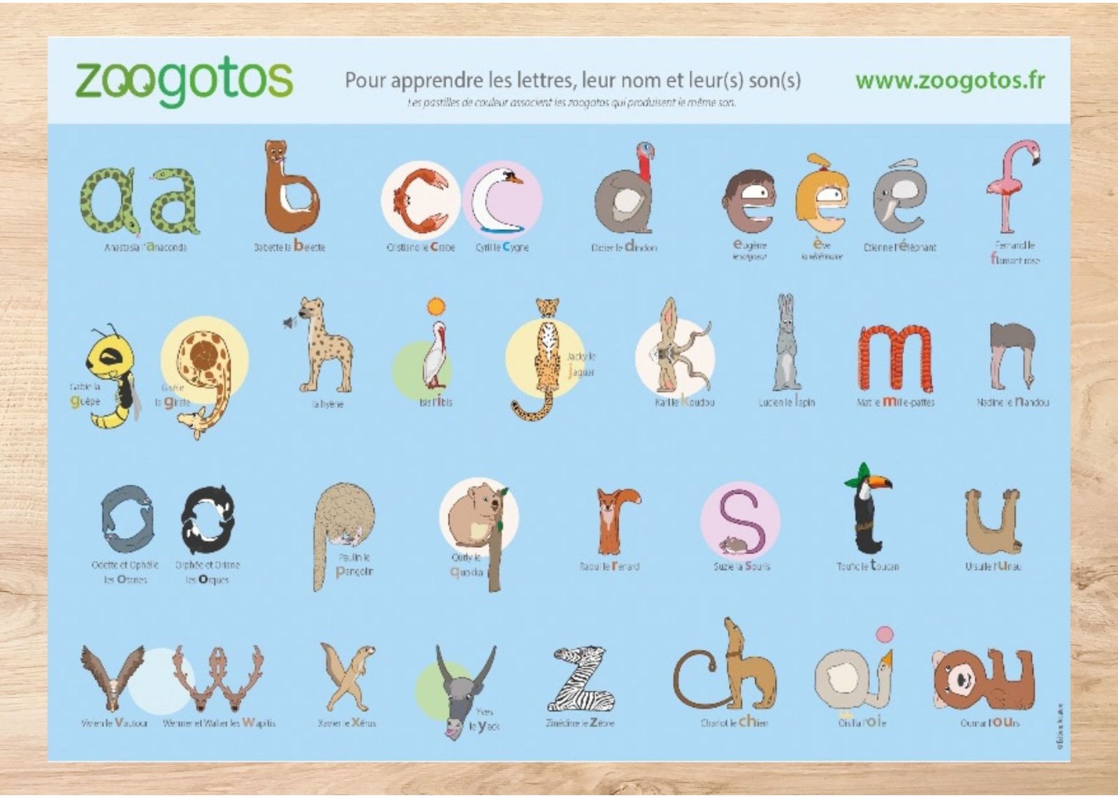 L'affiche des zoogotos
