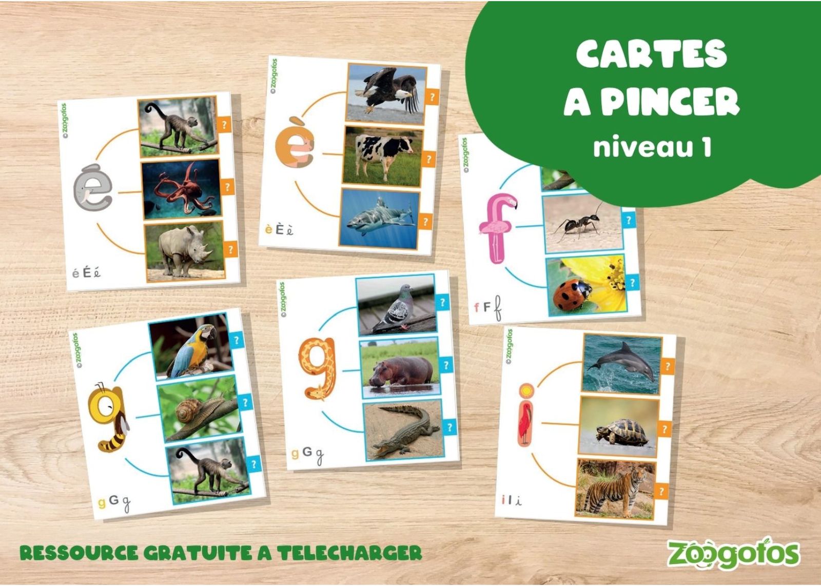 Les cartes à pincer - niveau 1