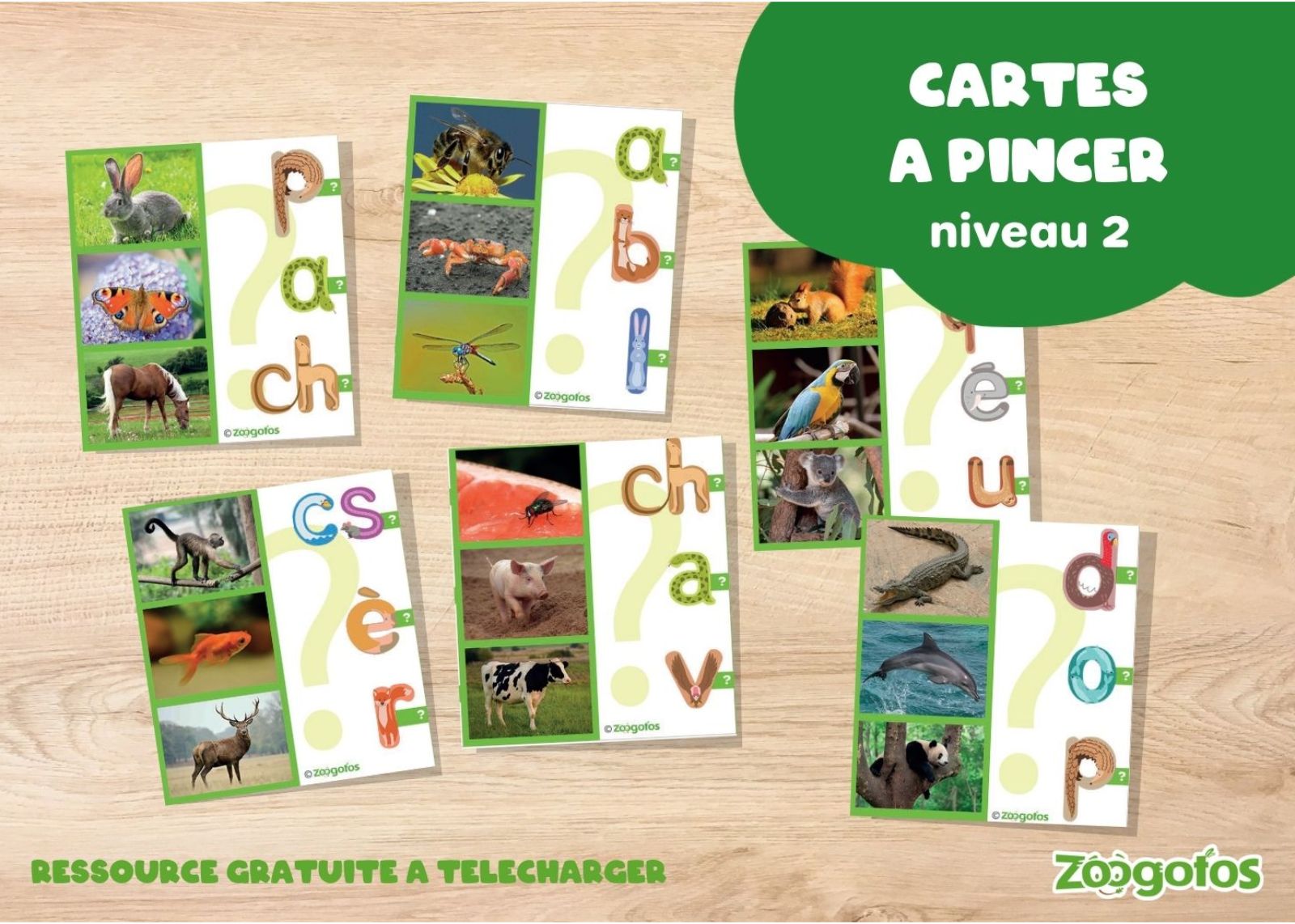 Les cartes à pincer - niveau 2