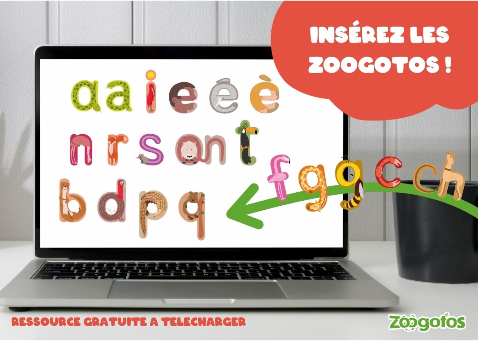 Insérer les Zoogotos !