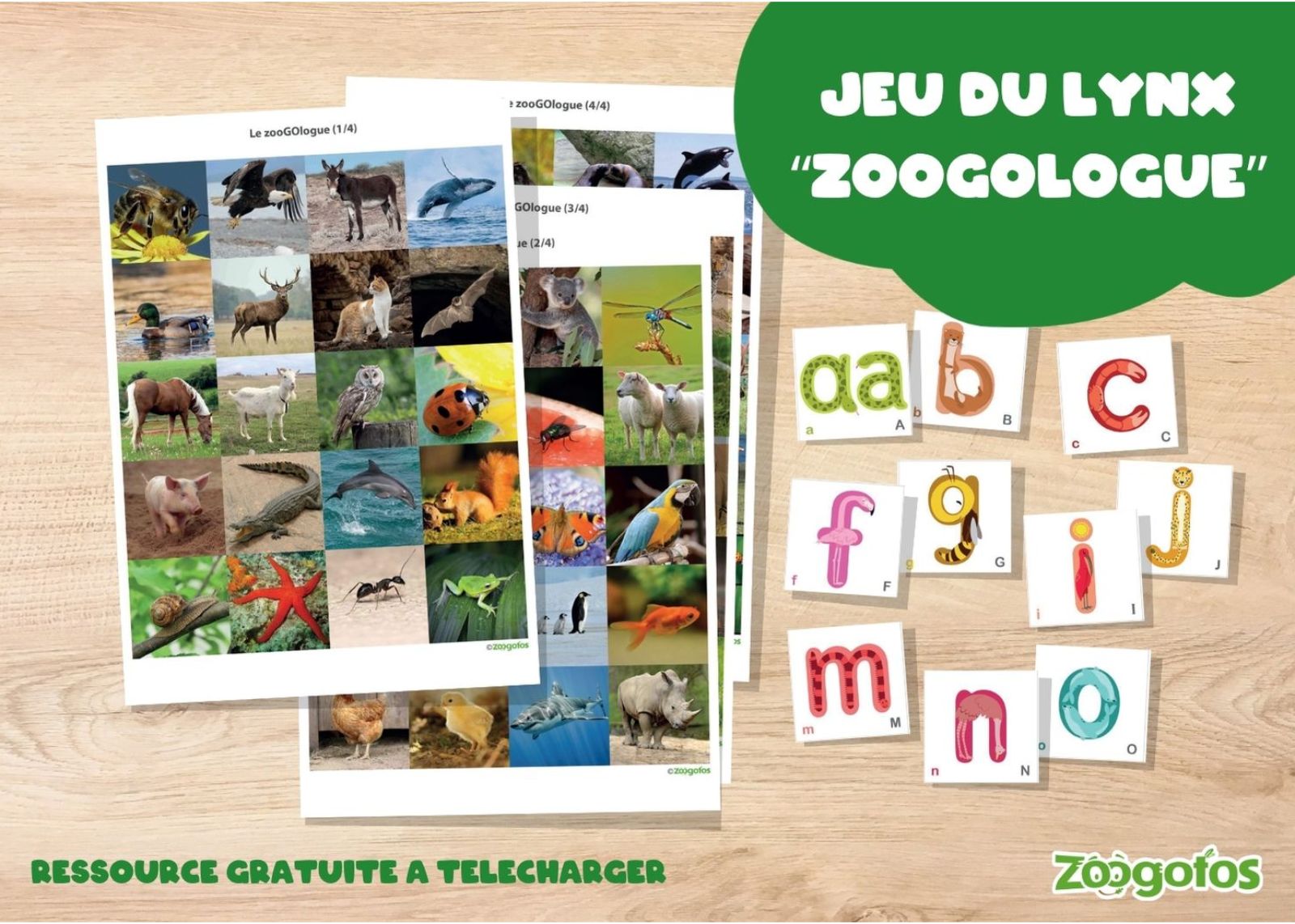 Le ZooGOlogue (jeu du lynx)