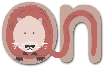 Ondine l'ondatra, un personnage-lettre des zoogotos