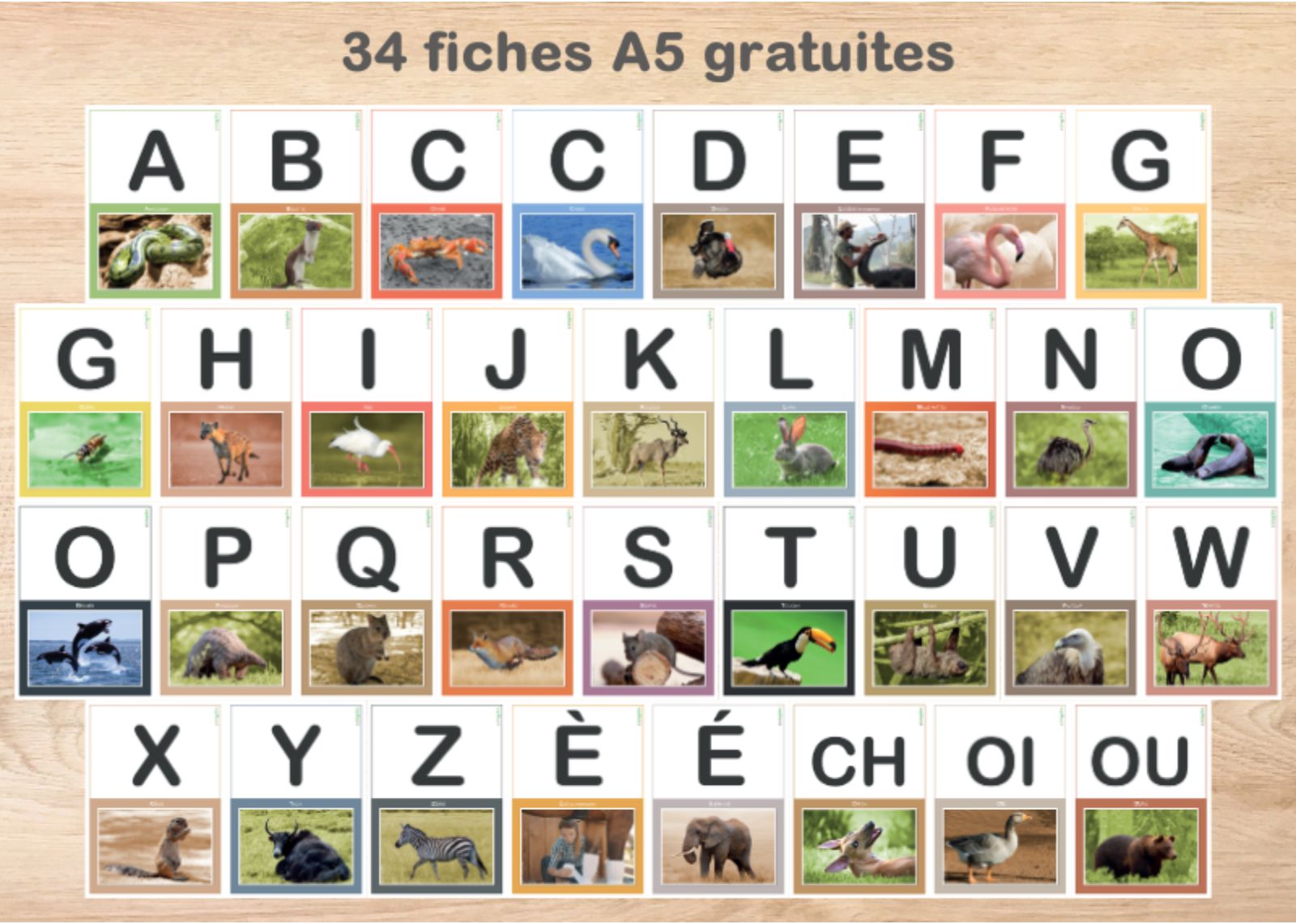 Fiches des lettres en capitales avec les animaux représentés par les zoogotos