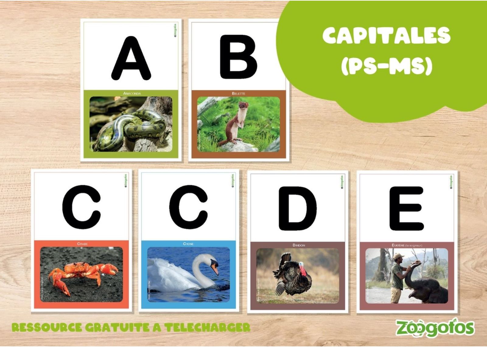 Fiches des capitales