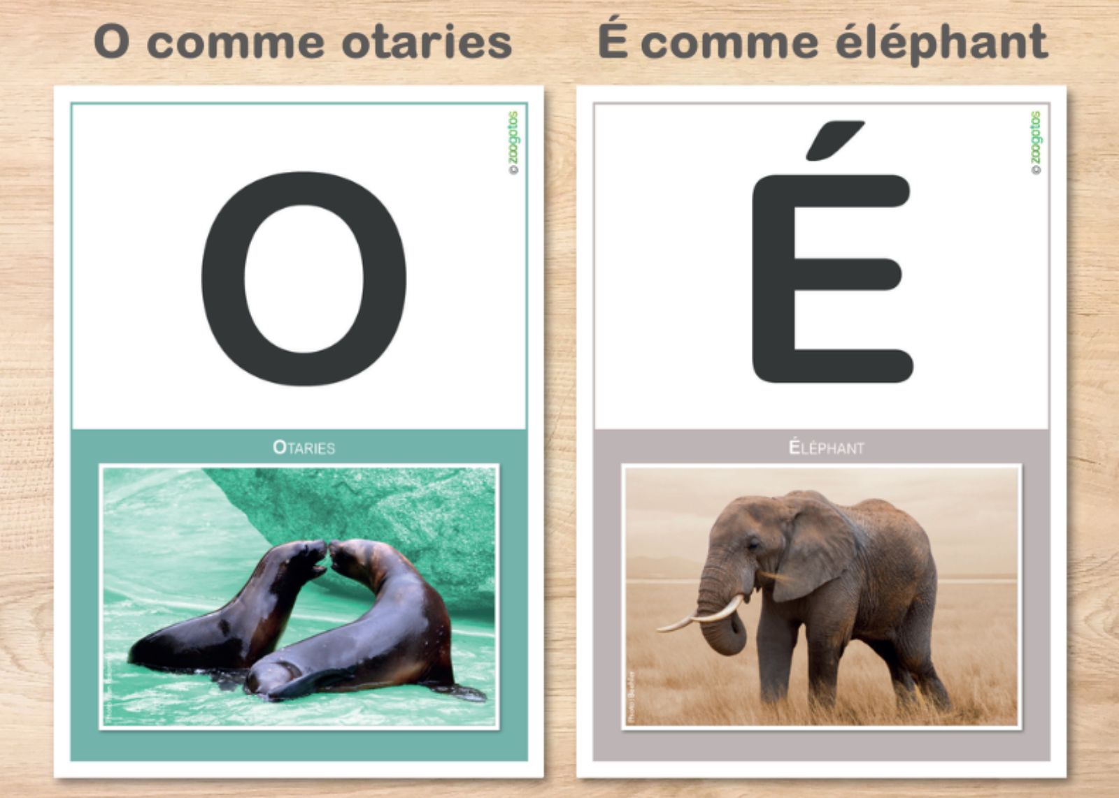 Fiches des lettres en capitales avec les animaux représentés par les zoogotos