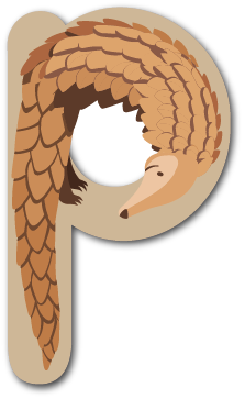 Paulin le pangolin, un personnage-lettre des zoogotos