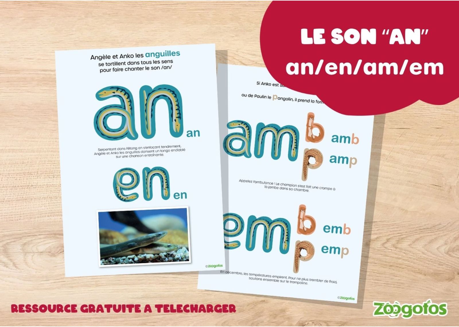 Angèle et Anko les anguilles