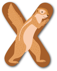 Xavier le xérus, un personnage-lettre des zoogotos