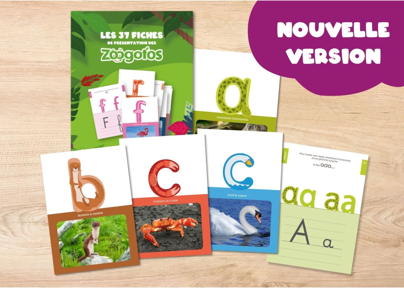 Les fiches de présentation