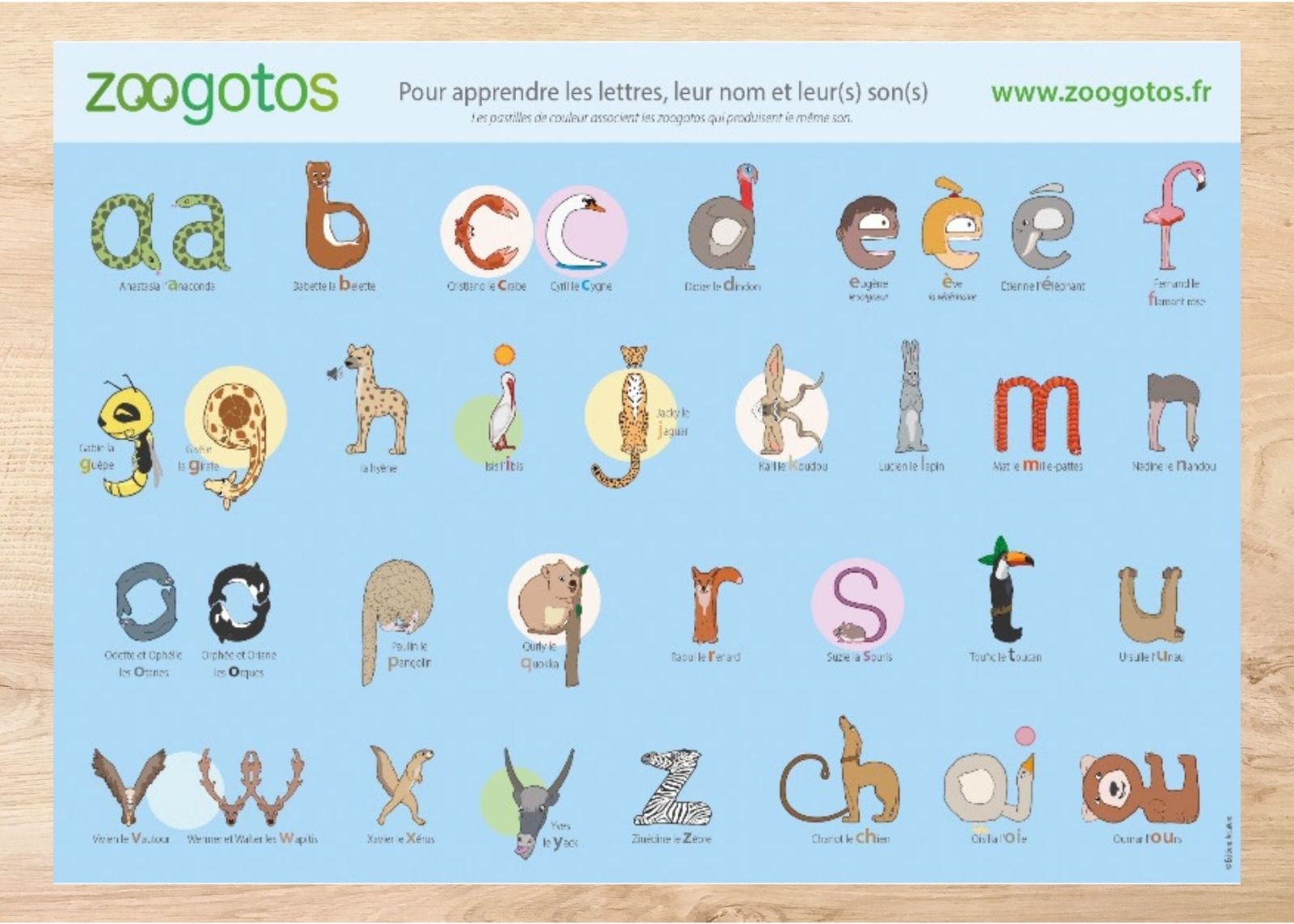 L'affiche des zoogotos