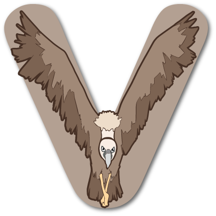 Vivien le vautour, un personnage-lettre des zoogotos