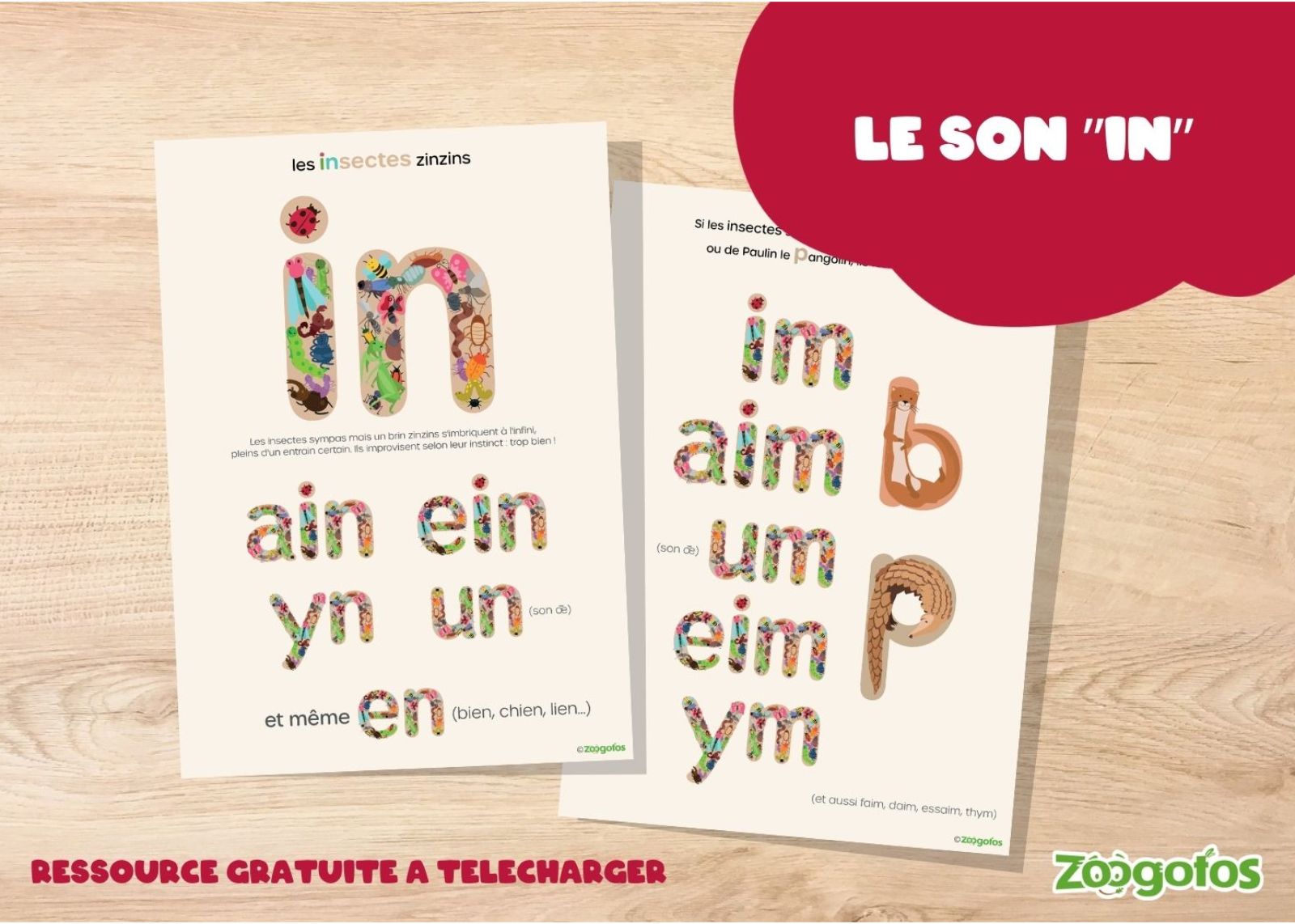 Les insectes zinzins